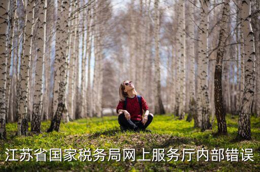 江蘇省國家稅務(wù)局網(wǎng)上服務(wù)廳內(nèi)部錯(cuò)誤