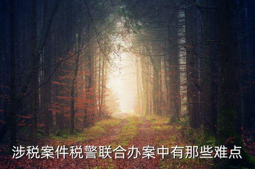 涉稅案件稅警聯(lián)合辦案中有那些難點(diǎn)