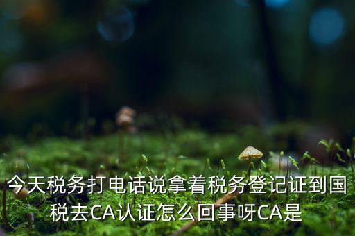 稅務(wù)局ca證書是什么，今天稅務(wù)打電話說(shuō)拿著稅務(wù)登記證到國(guó)稅去CA認(rèn)證怎么回事呀CA是