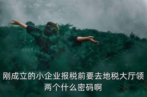 剛成立的小企業(yè)報稅前要去地稅大廳領兩個什么密碼啊