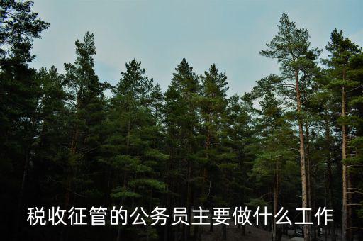 稅收管理員干什么的，稅收征管的公務(wù)員主要做什么工作