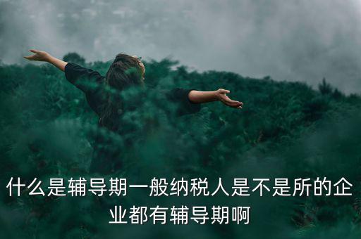 什么是輔導(dǎo)期一般納稅人是不是所的企業(yè)都有輔導(dǎo)期啊