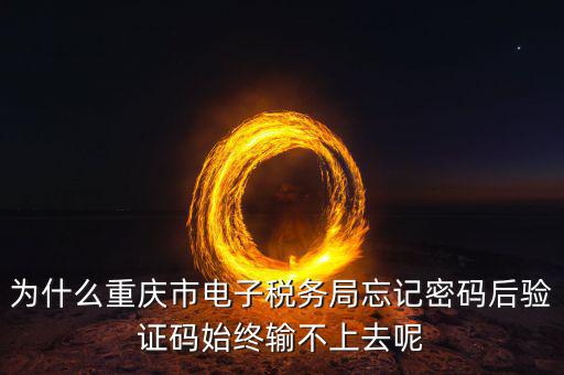 重慶電子稅務(wù)局什么時間開始，重慶渝北區(qū)地稅局就是一支路那個的作息時間是幾點(diǎn)到幾點(diǎn)啊