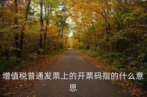 什么是發(fā)票信息碼，增值稅普通發(fā)票上的開票碼指的什么意思