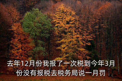 去年12月份我報了一次稅到今年3月份沒有報稅去稅務局說一月罰