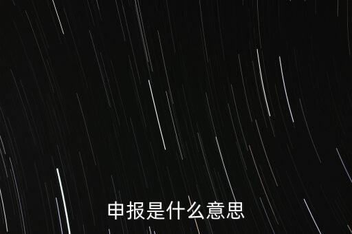 申報(bào)是什么意思