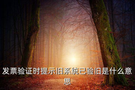 發(fā)票的驗(yàn)舊時(shí)間是什么意思，發(fā)票驗(yàn)證時(shí)提示舊系統(tǒng)已驗(yàn)舊是什么意思