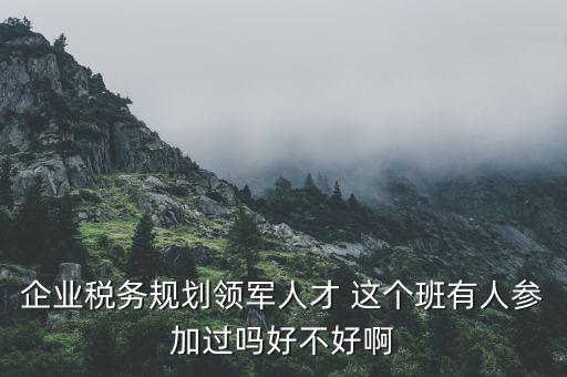 稅務(wù)領(lǐng)軍人才做什么，常溫下超導(dǎo)體可用來做什么