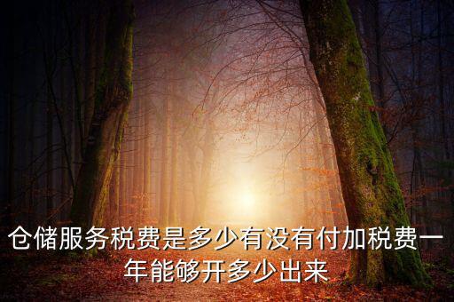 倉(cāng)儲(chǔ)服務(wù)稅費(fèi)是多少有沒(méi)有付加稅費(fèi)一年能夠開(kāi)多少出來(lái)