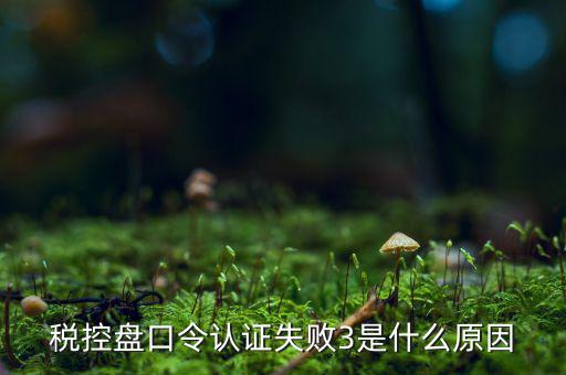 稅控盤口令認(rèn)證失敗3是什么原因