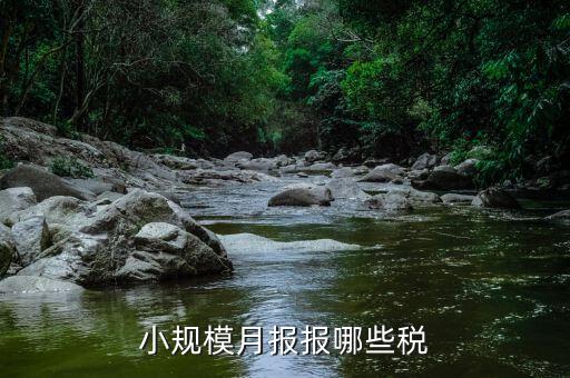 小規(guī)模納稅人季報什么，公司是小規(guī)模納稅人月報和季報時國稅和地稅各需報什么  搜