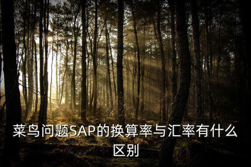 菜鳥問題SAP的換算率與匯率有什么區(qū)別