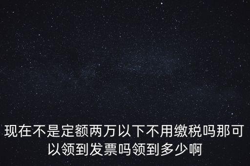 現(xiàn)在不是定額兩萬以下不用繳稅嗎那可以領到發(fā)票嗎領到多少啊