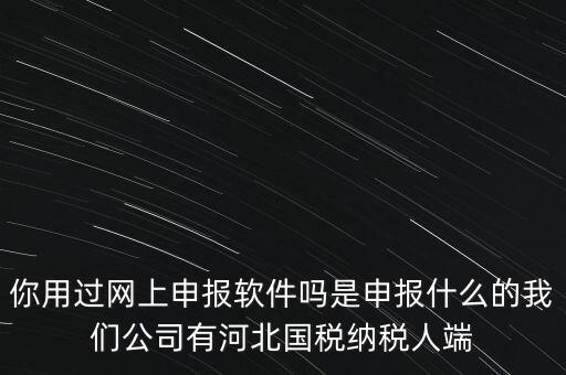 你用過網上申報軟件嗎是申報什么的我們公司有河北國稅納稅人端