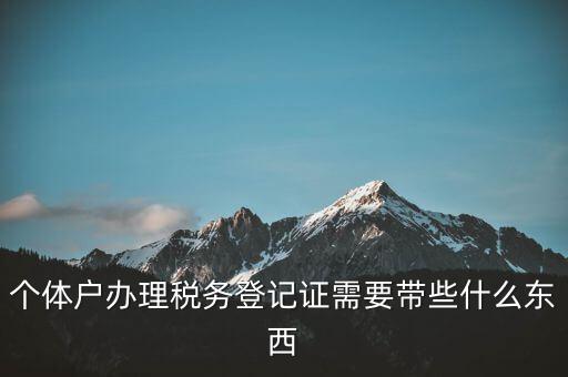 個(gè)體稅務(wù)登記證需要什么材料，個(gè)體戶辦理稅務(wù)登記證需要帶些什么東西