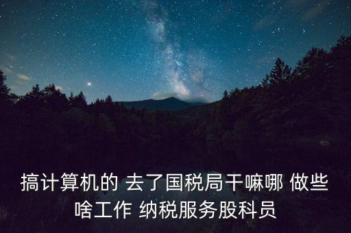 搞計(jì)算機(jī)的 去了國稅局干嘛哪 做些啥工作 納稅服務(wù)股科員