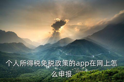 個人所得稅免稅政策的app在網上怎么申報