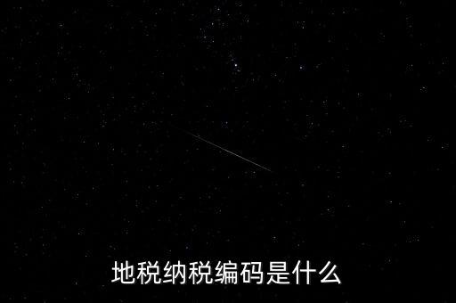 地稅納稅編碼是什么