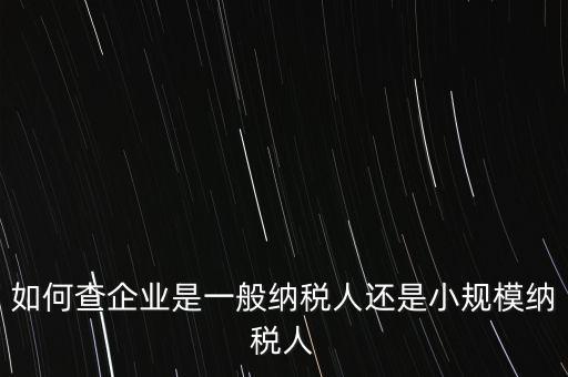 查詢公司什么納稅人，如何查企業(yè)是一般納稅人還是小規(guī)模納稅人