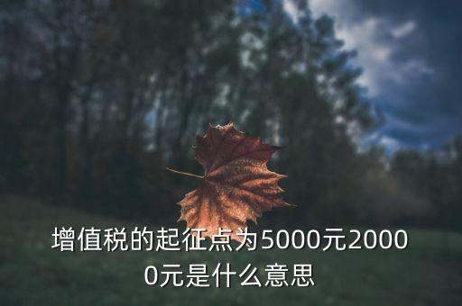 增值稅的起征點(diǎn)為5000元20000元是什么意思