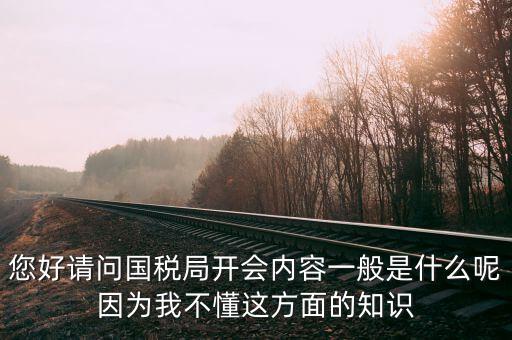 您好請問國稅局開會內(nèi)容一般是什么呢因?yàn)槲也欢@方面的知識