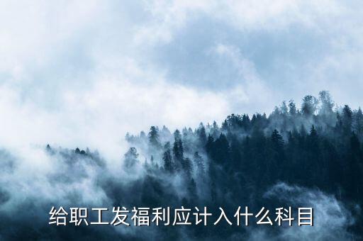 給職工發(fā)福利應(yīng)計入什么科目