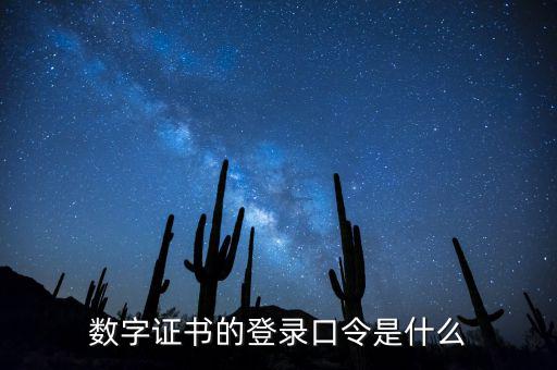 數(shù)字證書(shū)的登錄口令是什么