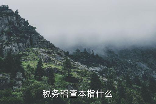 什么叫稅務(wù)稽查檢查科臺帳范本，稅務(wù)稽查本指什么