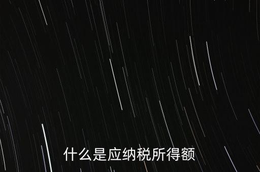 什么是年應(yīng)納稅所得額，什么是應(yīng)納稅所得額