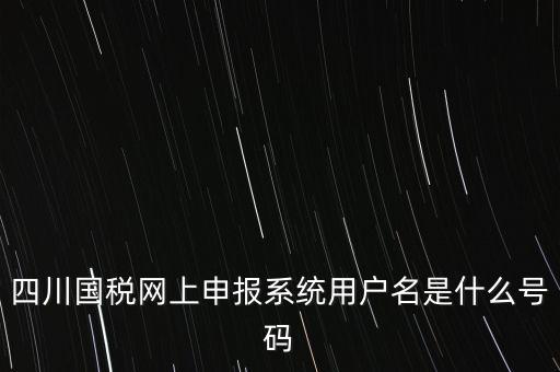 四川省地方稅務(wù)局登錄賬號是什么，在網(wǎng)上報稅登陸時用戶名是什么