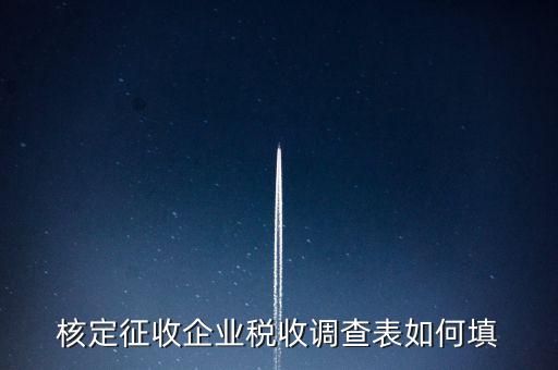 什么企業(yè)填稅收調查表，核定征收企業(yè)稅收調查表如何填