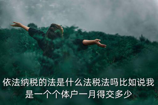 什么是依法納稅人，依法納稅的法是什么法稅法嗎比如說(shuō)我是一個(gè)個(gè)體戶(hù)一月得交多少