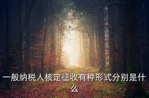 國稅函調(diào)是什么形式，國稅函調(diào)系統(tǒng)可以發(fā)起普通發(fā)票協(xié)查嗎