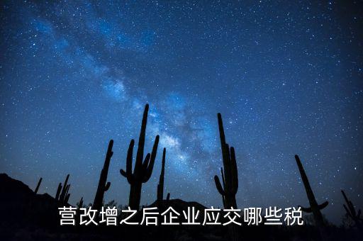 什么叫營改增企業(yè)所得稅，營改增企業(yè)季度申報所得稅