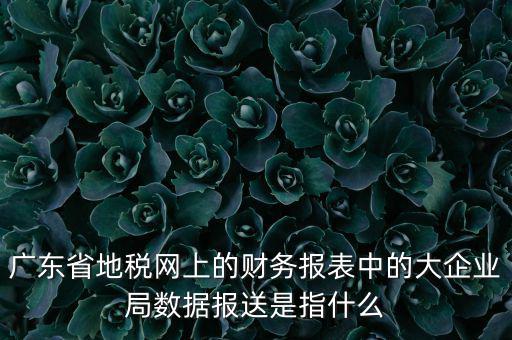 廣東省地稅網(wǎng)上的財(cái)務(wù)報(bào)表中的大企業(yè)局?jǐn)?shù)據(jù)報(bào)送是指什么