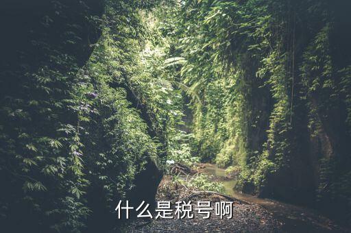 無證合一的稅號是什么意思，什么叫稅號