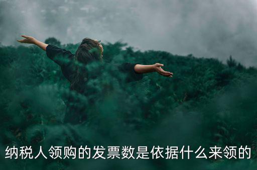 為什么領票人是納稅人，發(fā)票領購簿上的章子與納稅人名稱不一樣是怎么回事