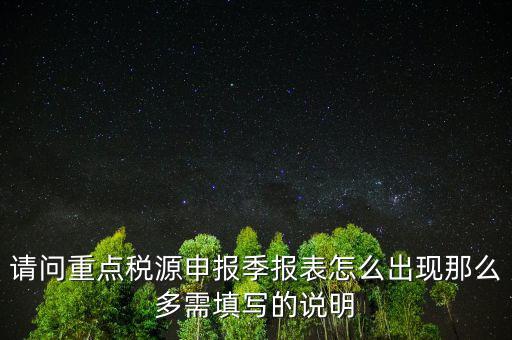 重點(diǎn)稅源申報(bào)要填什么，重點(diǎn)稅源申報(bào)表怎樣填