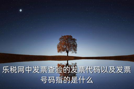 樂稅網(wǎng)中發(fā)票查驗(yàn)的發(fā)票代碼以及發(fā)票號碼指的是什么