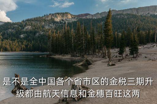 是不是全中國各個省市區(qū)的金稅三期升級都由航天信息和金穗百旺這兩