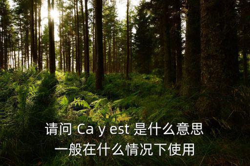 請問 Ca y est 是什么意思一般在什么情況下使用