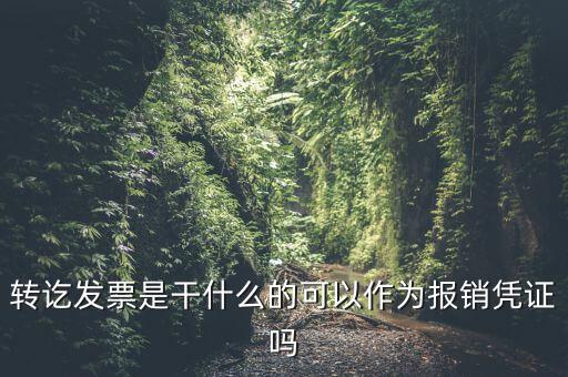 什么叫轉(zhuǎn)發(fā)票，我開了一張農(nóng)村合作信用社的轉(zhuǎn)賬發(fā)票請問什么是對應(yīng)發(fā)票