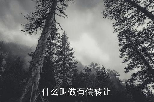 有償轉(zhuǎn)移安置什么意思，有償轉(zhuǎn)發(fā)什么意思