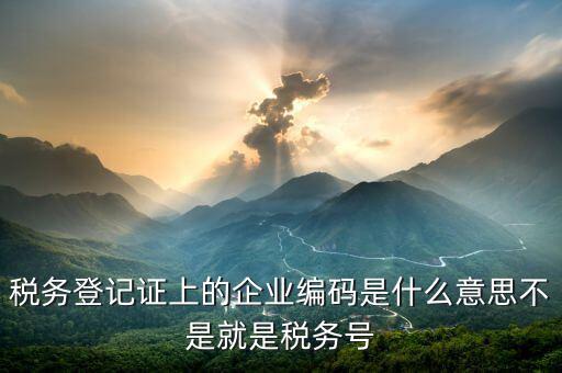 稅務登記證上的企業(yè)編碼是什么意思不是就是稅務號