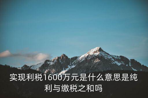 實時繳稅是什么意思，實時扣稅務(wù)請求3001什么意思