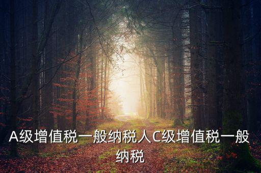 b級納稅人是什么意思，A級增值稅一般納稅人C級增值稅一般納稅