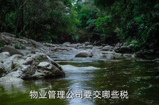 物業(yè)管理公司要交哪些稅