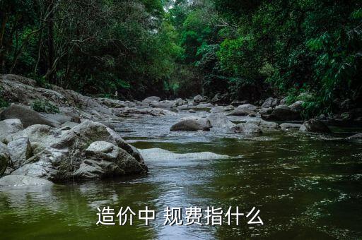 造價中 規(guī)費指什么