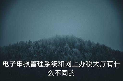 電子申報管理系統(tǒng)和網(wǎng)上辦稅大廳有什么不同的