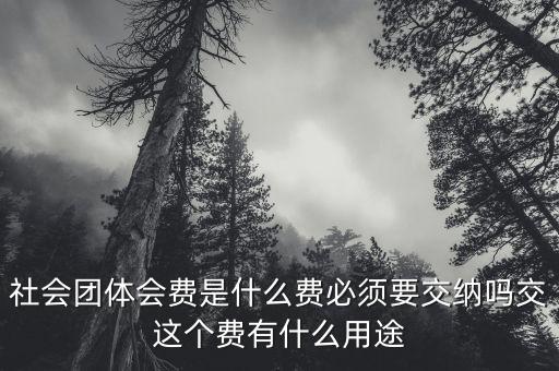 社會團體費是什么，誰知道工商個體協(xié)會社會團體會員費是什么